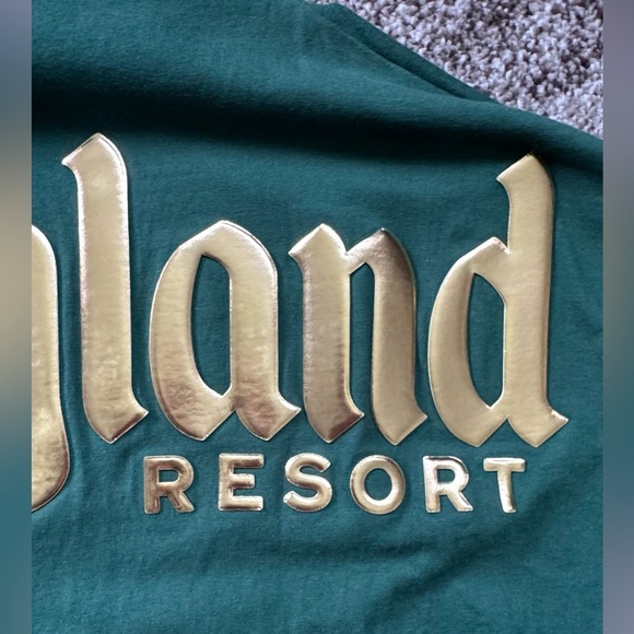2024 DISNEYLAND CHRISTMAS SPIRIT JERSEY SIZE LARGE UNISEX NAVIDAD MICKEY GREEN - Picture 13 of 14